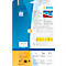 Etiketten HERMA 4697, 105 x 148 mm, 100 st., op DIN A4, weerbestendig, zelfklevend, sterk klevend, polyesterfolie, mat wit