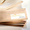 Enveloppes brunes avec une étiquette d'adresse "Eco Travel".