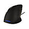 Evoluent VerticalMouse C Right - vertikale Maus