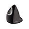 Evoluent VerticalMouse D Large - vertikale Maus - USB