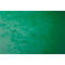 Exacompta classeur, DIN A4, avec élastique, 3 rabats, inscriptible, carton Colorspan, 355 g/m², vert