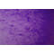 Exacompta classeur, DIN A4, avec élastique, 3 rabats, inscriptible, carton Colorspan, 355 g/m², violet