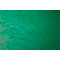Exacompta hoekmap, DIN A4, met elastiek, labelbaar, Colorspan karton, 355 g/m², groen