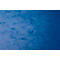 Exacompta hoekmap, DIN A4, met elastiek, te labelen, Colorspan karton, 355 g/m², blauw