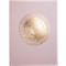 Livre rose clair avec motif en spirale doré. Le livre est en portrait. Le motif en spirale est en haut au centre.