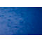 Exacompta map, DIN A4, met elastiek, 3 kleppen, te labelen, Colorspan karton, 355 g/m², blauw