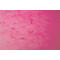 Exacompta map, DIN A4, met elastiek, 3 kleppen, te labelen, Colorspan karton, 355 g/m², roze
