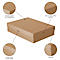Falken PureBox Nature A3 archiefbox, voor maximaal 1250 vel, met etiketveld, L 440 x B 320 x vulhoogte 100 mm, FSC® karton, bruin