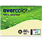 Farbiges Kopierpapier EVERCOLOR, DIN A4, 80 g/m², hellgelb, 1 Paket = 500 Blatt