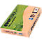 Farbiges Kopierpapier EVERCOLOR, DIN A4, 80 g/m², lachsrosa, 1 Paket = 500 Blatt