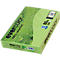 Farbiges Kopierpapier EVERCOLOR, DIN A4, 80 g/m², lindgrün, 1 Paket = 500 Blatt