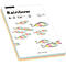 Farbiges Kopierpapier Mondi Rainbow-Mixpaket, DIN A4, 80 g/m², pastell, 1 Paket = 100 Blatt