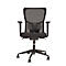 Fauteuil pivotant ATO 250 NEN, avec accoudoirs, mécanisme synchrone, assise plate, dossier résille, noir