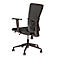 Fauteuil pivotant ATO 250 NEN, avec accoudoirs, mécanisme synchrone, assise plate, dossier résille, noir