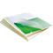 FELLOWES lamineerfolie, voorgestanst, A4, 80 µm, 100 stuks