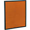 Filtre antimicrobien PM2.5 IDEAL AP100