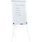 Flipchart Franken X-tra!Line Standard, in hoogte verstelbaar, houder met snelsluiting, opbergbakje, magnetisch bord met B 680 x H 1050 mm, lichtgrijs
