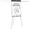 Flipchart Legamaster Sketch Pro, magnetisch bord, in hoogte verstelbaar, 2 zijarmen, statiefvoet, incl. startset, B 680 x H 1050 mm, zwart/wit