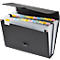 FolderSys, A4, rugdikte 65 mm, 24 vakken met tabbladen, omslag, lint, clipsluiting en handgreep, B 335 x H 250 mm, PP, zwart