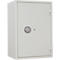 Format Tresor Sicherheitsschrank Seguro 50, Sicherheitsstufe S2, B 512 x T 425 x H 752 mm, 91 Liter, lichtgrau
