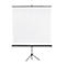 Franken Stativleinwand 2000x2000