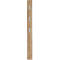 Garderobenpaneel 3348, MDF melaminharzbeschichtet, 3 ausklappbare Haken, ca. B 150 x T 30 x H 1700 mm, Navarra-Eiche