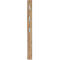 Garderobepaneel 3348, MDF melaminehars gecoat, 3 uitklapbare haken, ca. B 150 x D 30 x H 1700 mm, Navarra eik