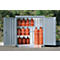 Gasflessenkast SAFE LIF GM 366, met bodemframe en gegalvaniseerd rooster