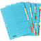 Gekleurde kartonnen indexbladen, per stuk, voor A4-formaat, 12 vakken