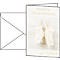 Gelukwenskaarten baby, incl. witte enveloppen, 10 stuks