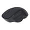 Gembird MUSW-6B-02 - Maus - ergonomisch - optisch - 6 Tasten - kabellos