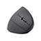 Gembird MUSW-ERGO-01 - vertikale Maus - 2.4 GHz - Schwarz