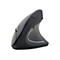 Gembird MUSW-ERGO-01 - vertikale Maus - 2.4 GHz - Schwarz