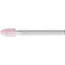 Gemonteerde punten STEELRAND D5xH10mm 3mm AR 100 SP PFERD
