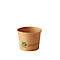 Bol en papier brun avec logo vert et texte: 100% Fair, biobased-compostable. WWW.CARE4EARTH.