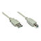 Beiges USB-Kabel mit USB-A- und USB-B-Stecker vor weißem Hintergrund.