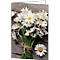 Close-up of a bouquet of white daisies with yellow centers, on a wooden background. One flower lies next to it.