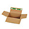 Open brown shipping box with green tape with logo. The box is in front of a white background.