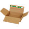 Open brown cardboard box with green tape and a red stripe.