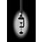 Hansa LED klemverlichting Ray, 3000 K - 6000 K, 10 W, dimbaar, met afstandsbediening, zwart