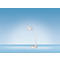 Hansa LED Tischleuchte Splash, 4000 K, Touch-Dimmer 3-fach, 300 Lumen, 300 Lumen, weiß