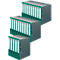 herlitz ordner maX.file nature, A4, rugbreedte 50 mm, 25 stuks, groen