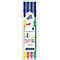 Four highlighters in a transparent case. Inscription: Triplus textsurfer, Brilliant Colors. Different colors.