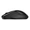 HP 250 - Maus - optisch - 3 Tasten - kabellos - 2.4 GHz, Bluetooth 5.0