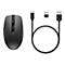 Drahtlose schwarze Maus mit USB-C Kabel, USB-EmpfÃ¤nger und USB-A Ladekabel.