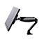 Iiyama DS3001C-B1 - Befestigungskit - einstellbarer Arm - für Monitor - Schwarz