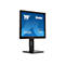iiyama ProLite B1980D-B5 - LED-Monitor - 48 cm (19') - 1280 x 1024 @ 60 Hz - TN - 250 cd/m²