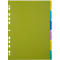 Groene doorzichtige hoes met tabs in geel, turkoois, blauw en paars. Perforatie aan de zijkant.