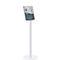 Informatiestand Paperflow, A4, voor staand &amp; liggend formaat, met verzonken greep, bestand tegen ontsmettingsmiddelen, staal/polystyreen, wit