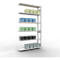 Insteekstelling MULTIplus250 Express - aanbouwsectie - B 1300 x D 300 x H 2500 mm - 6 legborden - draagvermogen 250 kg - staal - lichtgrijs